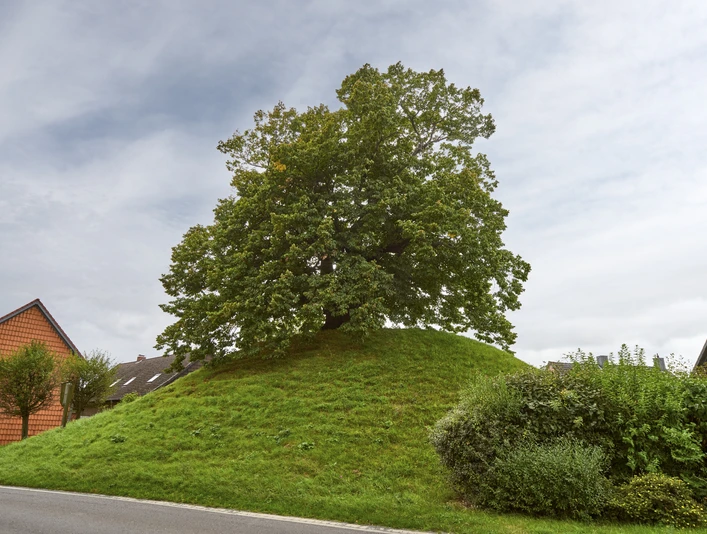 Tumulus von Evessen Tumulus von Evessen