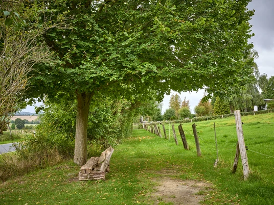 Ruhebank am Ortsrand Ruhebank am Ortsrand