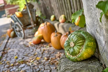 Kürbis aus Gielde Kürbis aus Gielde