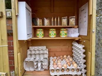 Hühnerstall Dorstadt Hühnerstall Dorstadt