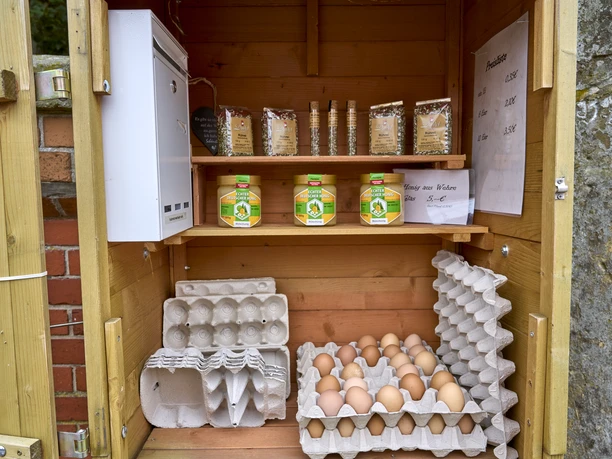 Hühnerstall Dorstadt Hühnerstall Dorstadt