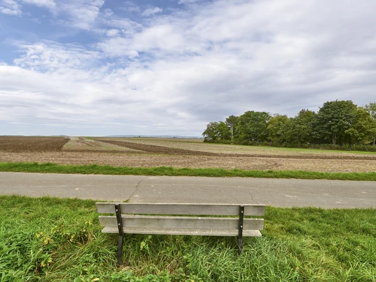 Ruhebank am Feldrand Börßum Ruhebank am Feldrand Börßum