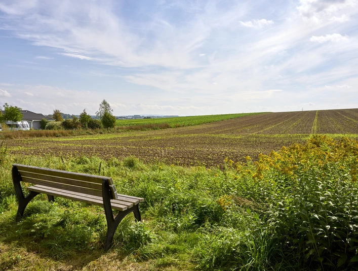 Ruhebank am Ortsrand Halchter Ruhebank am Ortsrand Halchter