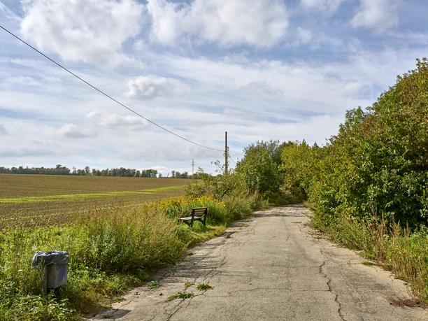 Ruhebank am Ortsrand Halchter Ruhebank am Ortsrand Halchter