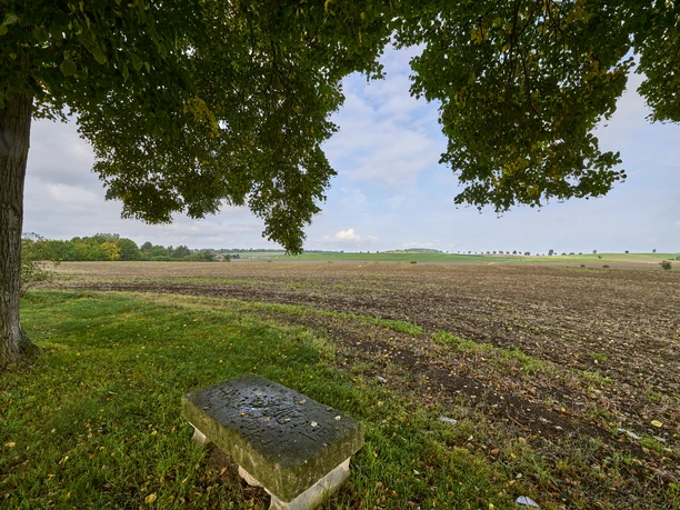 Rastplatz mit Steinbank Kissenbrück Rastplatz mit Steinbank Kissenbrück