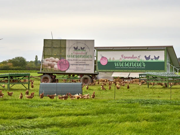 Fümmelser Wiesenei Fümmelser Wiesenei