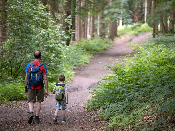 Vater und Sohn mit Rucksäcken auf Waldweg im Wiehengebirge bei Lübbecke