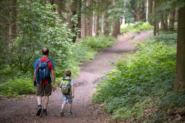 Wiehengebirge Vater und Sohn mit Rucksäcken auf Waldweg im Wiehengebirge bei Lübbecke