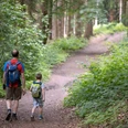 Wiehengebirge Vater und Sohn mit Rucksäcken auf Waldweg im Wiehengebirge bei Lübbecke