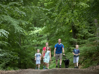 11.06.2021 Lübbecke. Wiehengebirge. KNiebrink, Wartturm, etc. Wanderung mit Familie Föst