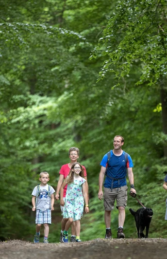 Wiehengebirge Lübbecke 11.06.2021 Lübbecke. Wiehengebirge. KNiebrink, Wartturm, etc. Wanderung mit Familie Föst