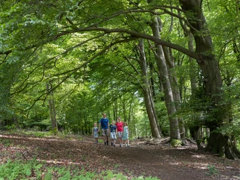 Wiehengebirge Wiehengebirge