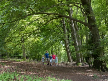 Wiehengebirge Wiehengebirge