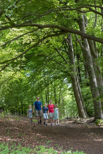 Wiehengebirge Wiehengebirge
