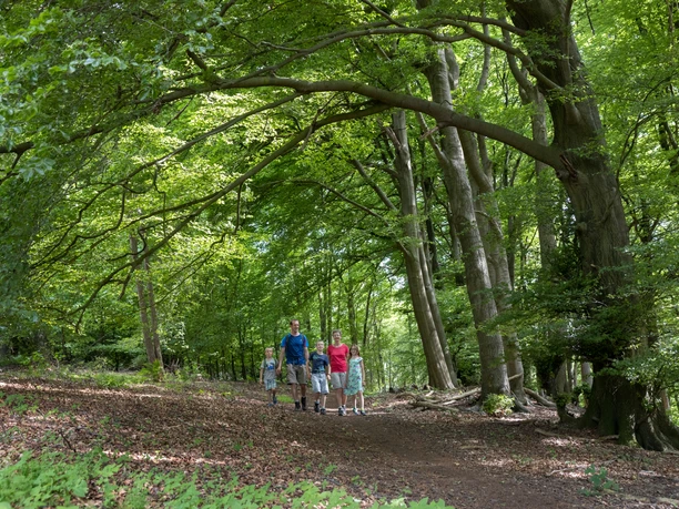 Wiehengebirge Wiehengebirge