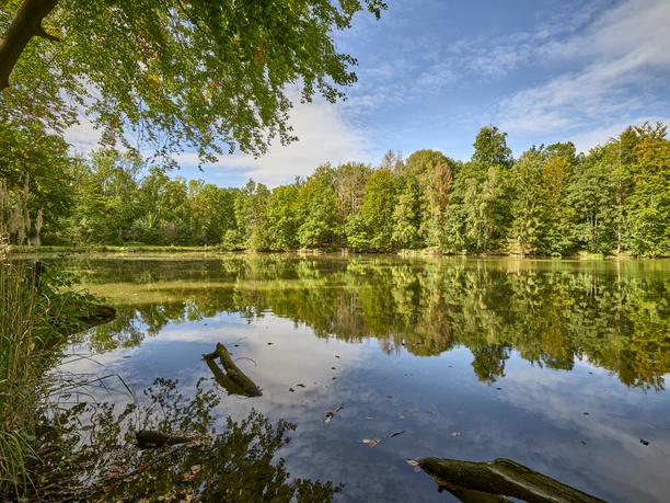 Veronikasee Veltheim Veronikasee Veltheim
