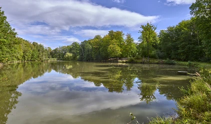 Veronikasee Veltheim Veronikasee Veltheim