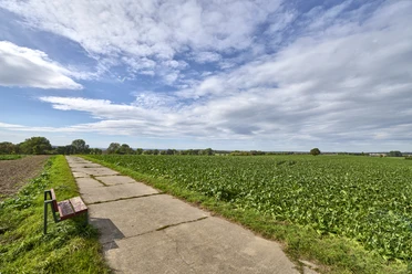 Ruhebank mit Aussicht Veltheim Ruhebank mit Aussicht Veltheim