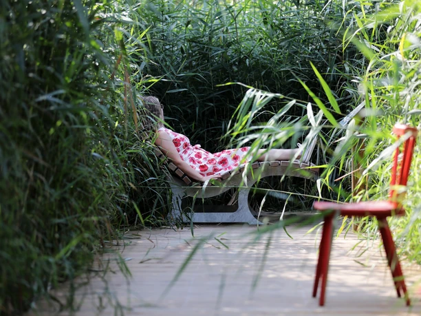 063HR - Bad Schwalbach - begehbares Moor.JPG