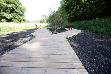 074HR - Bad Schwalbach - begehbares Moor.JPG