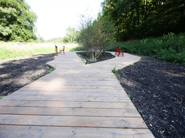 074HR - Bad Schwalbach - begehbares Moor.JPG