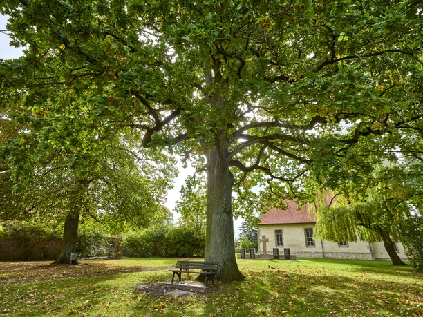 Bank unter Eiche Cremlingen Bank unter Eiche Cremlingen