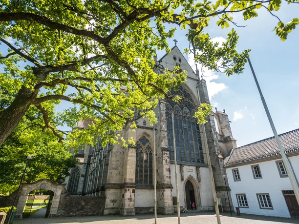 Altenberger Dom <p>Gotische Kirche mit hohen Fenstern und beeindruckendem Laubbaum im Vordergrund an sonnigem Tag.</p>