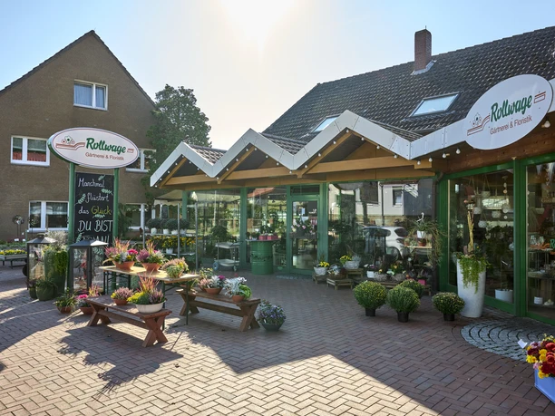 Regionale Rosen und Chrysanthemen Rollwage Baddeckenstedt Regionale Rosen und Chrysanthemen Rollwage Baddeckenstedt