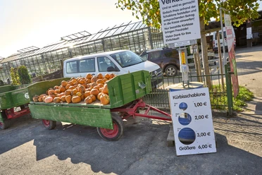Kürbisverkauf Rollwage Baddeckenstedt Kürbisverkauf Rollwage Baddeckenstedt