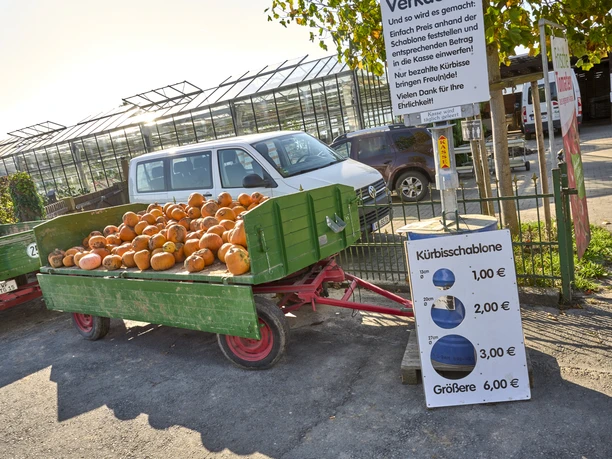 Kürbisverkauf Rollwage Baddeckenstedt Kürbisverkauf Rollwage Baddeckenstedt