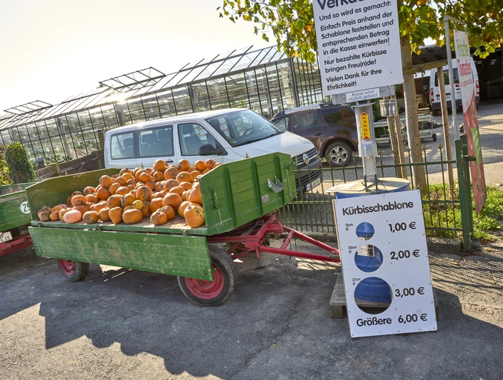 Kürbisverkauf Rollwage Baddeckenstedt Kürbisverkauf Rollwage Baddeckenstedt