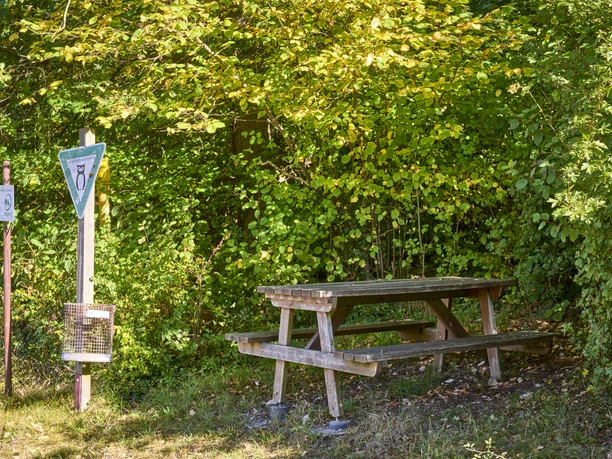 Picknickplatz am Waldrand Steinlah Picknickplatz am Waldrand Steinlah