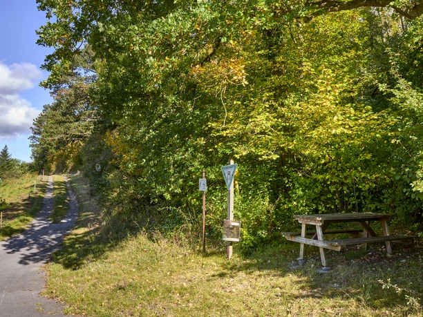 Picknickplatz am Waldrand Steinlah Picknickplatz am Waldrand Steinlah