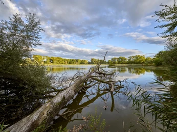 Weddeler Teich Weddeler Teich