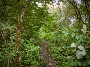 Weddeler Teich Weddeler Teich