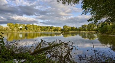 Weddeler Teich Weddeler Teich