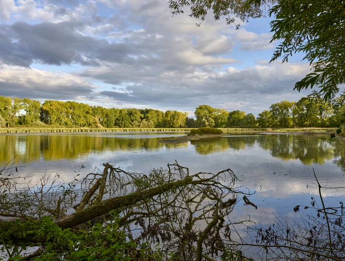 Weddeler Teich Weddeler Teich