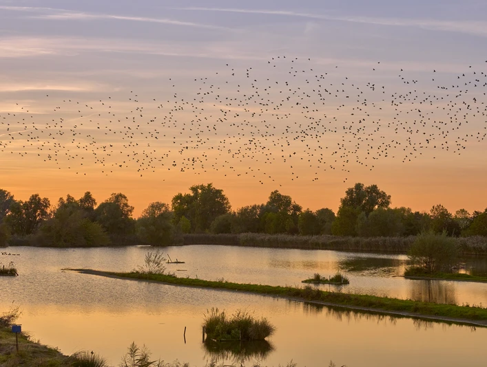 Schöppenstedter Teiche Bansleben Schöppenstedter Teiche Bansleben