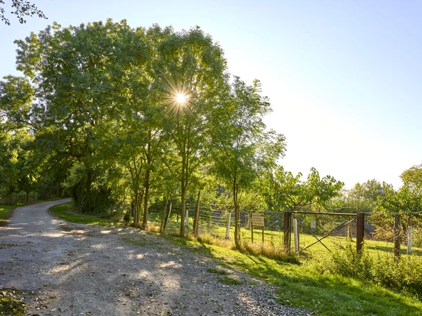 Wildtiergehege Groß Denkte Wildtiergehege Groß Denkte