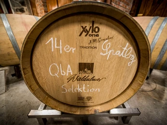 Waldulmer Winzergenossenschaft Kellerbesichtigung Lagerung Holzfass Waldulmer Winzergenossenschaft Kellerbesichtigung Lagerung Holzfass