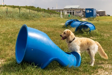 Hundefreilauffläche