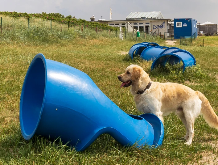 Hundefreilauffläche