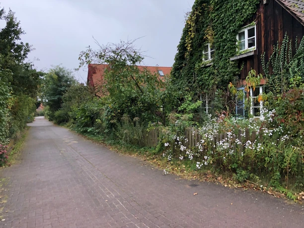 A half-timbered house covered in ivy in a quiet, green setting on the edge of a village.