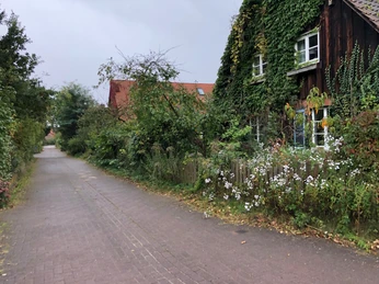 Lebensgarten Steyerberg Ein von Efeu bedecktes Fachwerkhaus in einer ruhigen, grünen Umgebung am Wegesrand eines Dorfes.A half-timbered house covered in ivy in a quiet, green setting on the edge of a village.Et bindingsværkshus dækket af efeu i rolige, grønne omgivelser i udkanten af en landsby.Een vakwerkhuis bedekt met klimop in een rustige, groene omgeving aan de rand van een dorp.