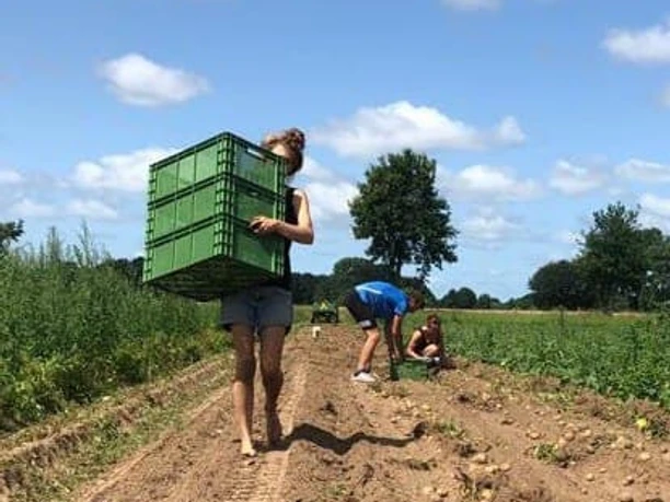 Biohof Bockholter Beete