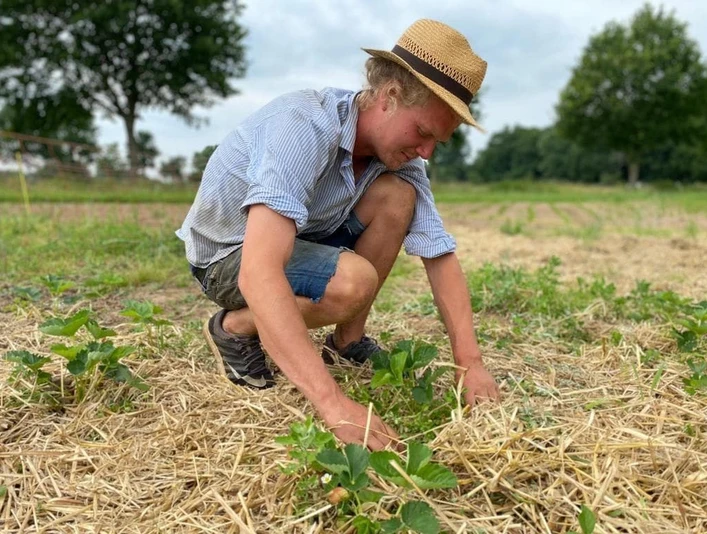 Biohof Bockholter Beete