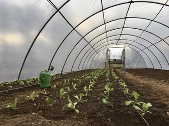 Biohof Bockholter Beete