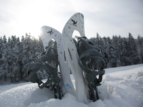 Geführte Schneeschuhwanderung Baiersbronn Touristik Equipment Geführte Schneeschuhwanderung Baiersbronn Touristik Equipment