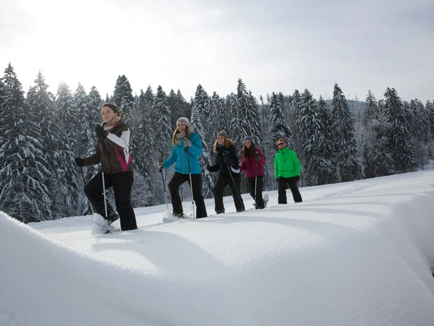 Geführte Schneeschuhwanderung Baiersbronn Touristik Gruppenfuehrung Geführte Schneeschuhwanderung Baiersbronn Touristik Gruppenfuehrung