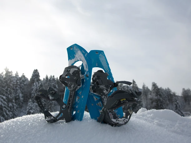 Gefuehrte Schneeschuhwanderung Baiersbronn Touristik Schneeschuhe Gefuehrte Schneeschuhwanderung Baiersbronn Touristik Schneeschuhe